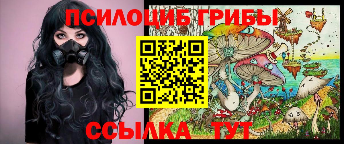 Псилоцибиновые грибы мицелий Юрга