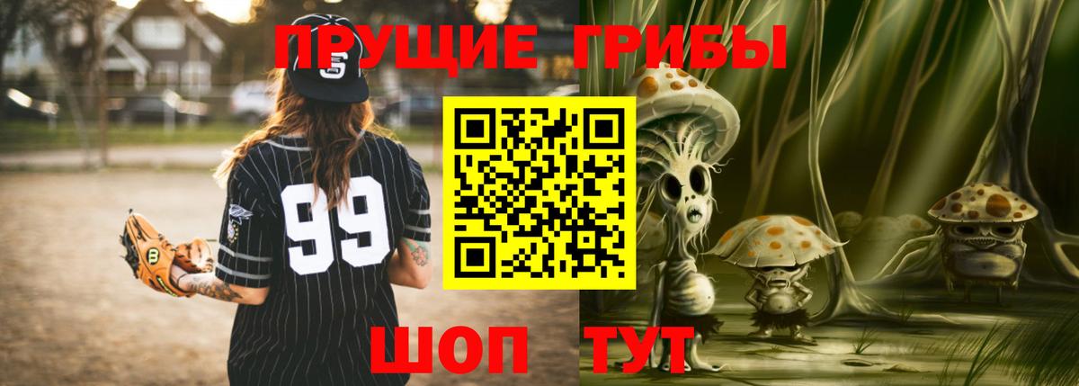 Псилоцибиновые грибы Cubensis  Галлюциногенные грибы Cubensis  Юрга  Вход с VPN 